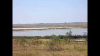 Muleshoe Wildlife Game Refuge Home to Sandhill Cranes [upl. by Nimra]