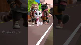 Oh My Cats catlover funny cutecat [upl. by Frederigo]