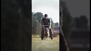 tacticalshooter malinois dog belgianmalinois dogs k9 military foryou germanshepherd usa [upl. by Iht]