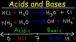 Acids and Bases  Basic Introduction  Chemistry [upl. by Lanza]