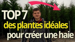 TOP 7 Des plantes parfaites pour créer une haie brisevue [upl. by Yolanthe]