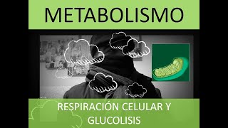 GLUCOLISIS Y RESPIRACIÓN CELULAR [upl. by Anahsal109]