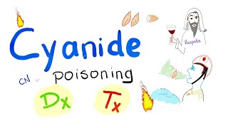 Cyanide Poisoning  Diagnosis amp Treatment [upl. by Xer]