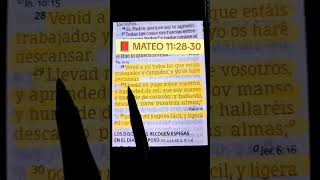 El Señor Nos Dice HOY  Versículos De LA BIBLIA  MATEO 11 2830 palabradedios [upl. by Animrac413]