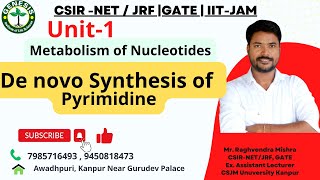 De Novo Synthesis of Pyrimidine  Degradation of Purine and Pyrimidine  L23 [upl. by Cerveny]