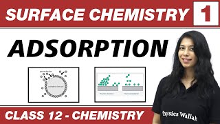 Surface Chemistry 01  Adsorption  Class 12 NCERT [upl. by Ecnarret]