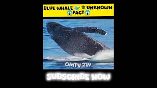 Unknown fact about Blue whale 🐳blue whale के unknown फैक्ट्सshorts [upl. by Leanna]