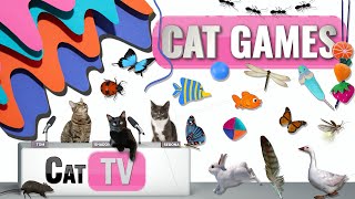 CAT Games  Ultimate Cat TV Compilation Vol 39  2 HOURS 🐝🐞🦋🦎🦜🐜🐭🧵 [upl. by Oberg]