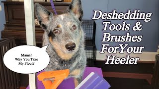 Brush amp Deshedding Tools For Your Australian Cattle Dog [upl. by Anialed]