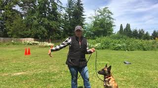 How to use a Long Line when Training Your Dog [upl. by Menendez236]