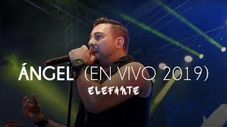 Elefante  Angel En Vivo [upl. by Qulllon182]