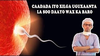 DHIIGA CAADADA IYO XILGA UGAXAANTA LA SOO DAAYO WAX KA BARO Dr faris [upl. by Adabelle]