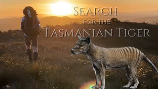 Does the Tasmanian Tiger Thylacine still exist at the Spero River Tasmania [upl. by Jackquelin]