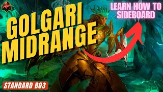 MTG Standard Golgari Midrange Sideboard Guide [upl. by Pollack]