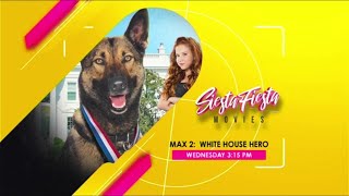 GTV  Siesta Fiesta Movies Max 2 White House Hero 2017 Promo September 4 2024 [upl. by Eide]