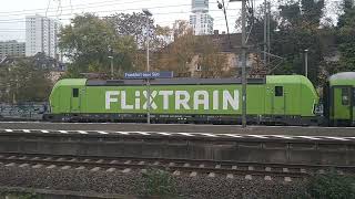 Flixtrain en FrankfurtMain Süd11124910 [upl. by Ecerahs]