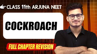 COCKROACH  COMPLETE Chapter in 1 Video  Quick Revision  Class 11th Arjuna NEET [upl. by Franci150]