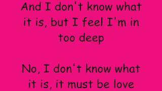 Enrique Iglesias  It Must Be Love Lyrics [upl. by Carpet]