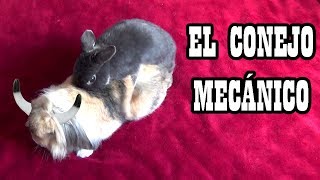 El conejo mecánico [upl. by Eivi]