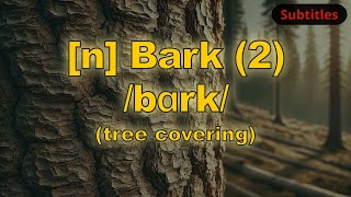 n Bark meaning tree covering with 5 examples [upl. by Naujahs924]