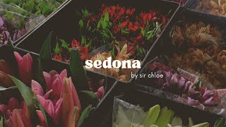 sedona  sir chloe short cover [upl. by Aneehsat189]