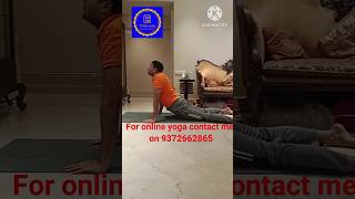 yoga for lower back pain relief beginner yoga for lower back pain TimaYog yoga shorts [upl. by Asli746]