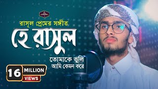 হে রাসূল তোমাকে ভুলি আমি কেমন করে  Hajaro Betha Bedona  Monirul Islam Labib  Nasheed Band [upl. by Beitch162]