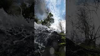 Beautiful view of a small waterfall l Vlog9 l waterfall minivlog hillstationtrip youtubeshorts [upl. by Suoicul]