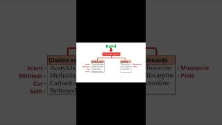 Cholinergic Agonists Mnemonics [upl. by Channa]