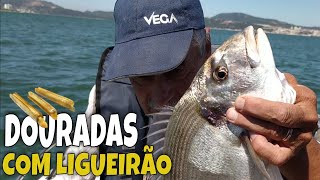 DOURADAS NO RIO COM LINGUEIRÃO COM CASCA  VIDEO PESCA À DOURADA [upl. by Eddina487]