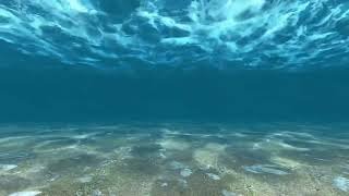 Sonido Bajo el Agua  Underwater Sound [upl. by Ardnohsed621]