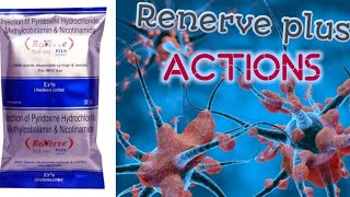 Renerve plus injection  vitamin injection  nerve injection  fully explained  Marunthiyal arivom [upl. by Amberly]