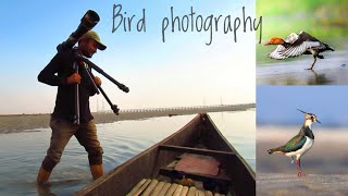 Bird photography at Gajoldoba  Teesta  Wildlife photography in India  With Canon 6d mk ii [upl. by Jo-Ann]