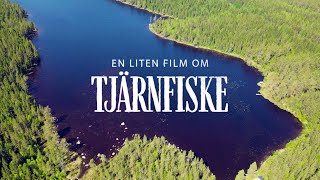 En liten film om Tjärnfiske [upl. by Jacobsohn]