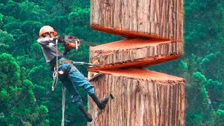 40 Minutes Of Satisfying Videos Of Workers Doing Their Job Perfectly  Best Moments [upl. by Eniamor]