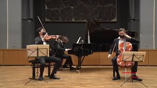 Trio Zarathoustra  Smetana Piano Trio in G minor op15 3rd mvt [upl. by Deloris945]