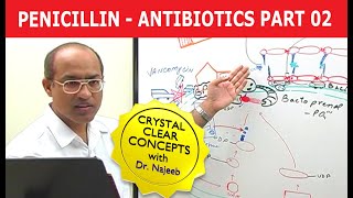 Penicillin  Antibiotics  Dr Najeeb  Part 24 [upl. by Enoj]