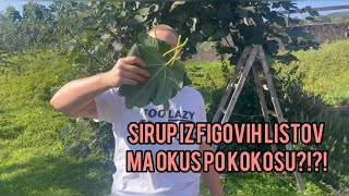 SIRUP IZ FIGOVIH LISTOV MA OKUS PO KOKOSU  Anja Fir [upl. by Josh]