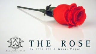 The Rose Bond Lee amp Wenzi Magic  wwwlepetitmagiciencom [upl. by Alicia99]