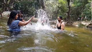 Thalayanai River  Kalakad Mundanthurai Tirunelveli  PlanetWander [upl. by Ecienaj]