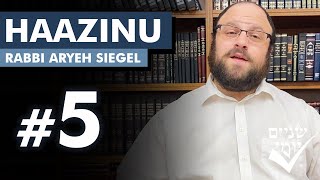 Shnayim Yomi  Haazinu  Chamishi  5 5784 [upl. by Lattie]