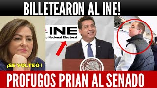 BILLETEARON AL INE CABEZA DE VACA Y ANAYA LOGRAN PLURIS NOROÑA REVIENTA VS TADDEI LENCHO REGRESÓ [upl. by Semajwerdna]