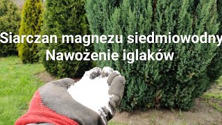 Nawożenie iglaków siarczanem magnezu siedmiowodnym [upl. by Livy140]