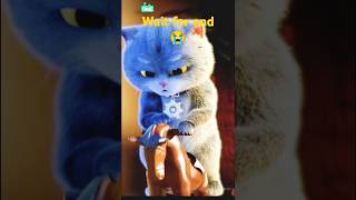 Billo Is Sad Today 🥺😞  shorts cute cat kitten trending ytshorts [upl. by Lramaj]