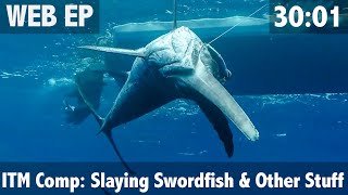 ITM Fishing Comp Slaying Swordfish and Lots of Other Stuff [upl. by Enwahs]