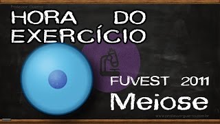 Meiose  FUVEST 2011 [upl. by Zalea]