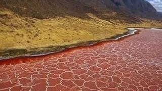 Lago Natron Tanzania Misteriosos Animales Petrificados en Sal  Lake Natron IGEOTV [upl. by Cohby851]