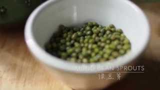 mung bean sprouts [upl. by Ayiotal]