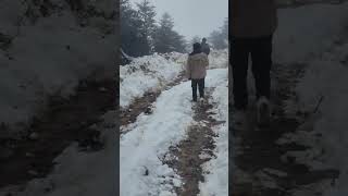 heavy snowfall in sandakphu darjeeling caused road blockade [upl. by Lubbi]