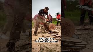 500i vs Dolmar 7900 ported shorts stihl500i dolmar [upl. by Pan]